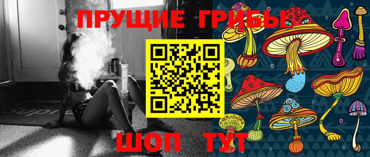 Кызыл  Галлюциногенные грибы ЛСД  Галлюциногенные грибы Psilocybe  Вход с VPN 