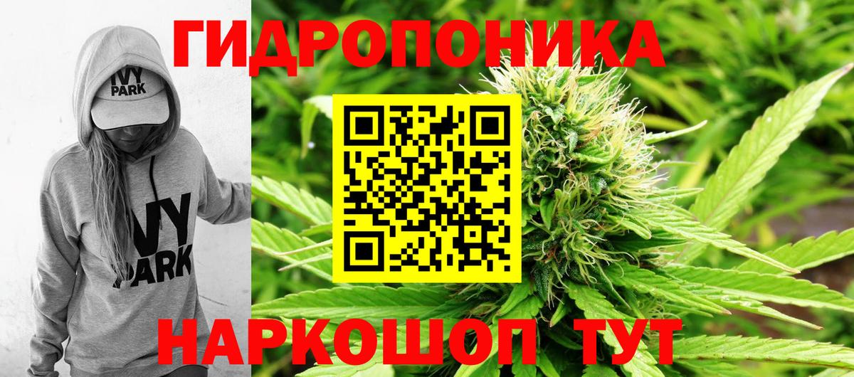 Каннабис семена Кызыл